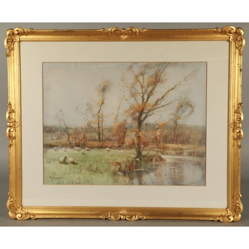 396 - Tom Campbell (Scottish 1865-1943)'Sheep grazing by a river'Gilt framed watercolour, signed44cm x 58c... 