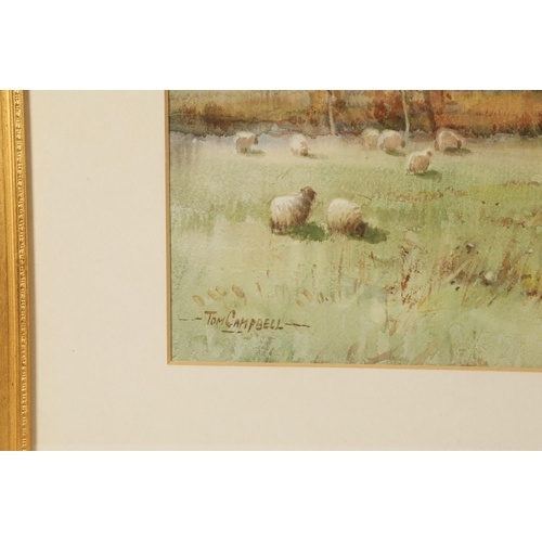 396 - Tom Campbell (Scottish 1865-1943)'Sheep grazing by a river'Gilt framed watercolour, signed44cm x 58c... 