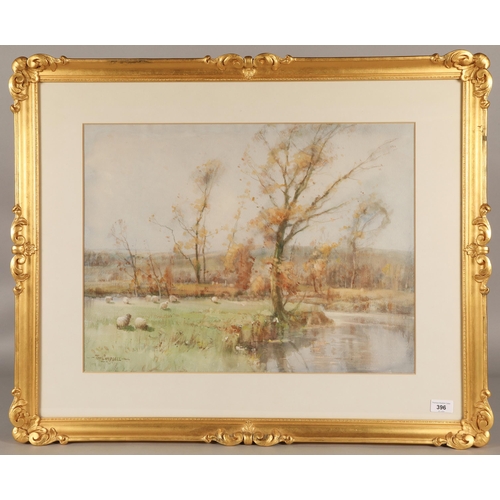 396 - Tom Campbell (Scottish 1865-1943)'Sheep grazing by a river'Gilt framed watercolour, signed44cm x 58c... 