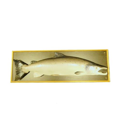 387 - Impressive framed painted plaster model of a salmon. 118.5cm x 39cm