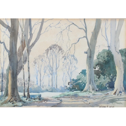 258 - MAURICE CANNING WILKS RUA ARHA (Irish, 1910-1984) *ARR* Untitled - view through trees to a hill Wate... 