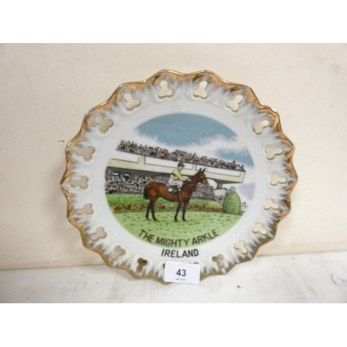 43 - The Mighty Arkle Ireland ribbon plate.20cm dia.