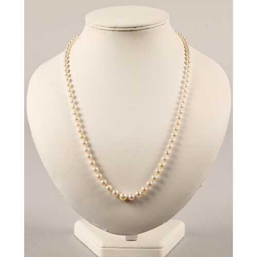 60A - String of pearls on 9ct gold clasp,