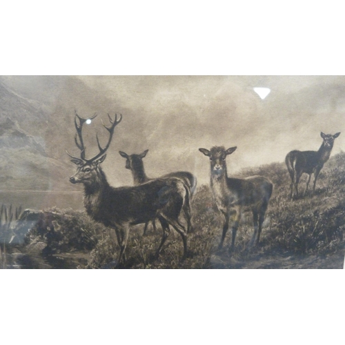 81 - After FW HayesHighland scene with stags and deer in a mountainous landscape, and another print of Hi... 