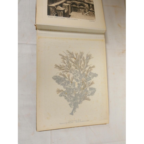 91 - Photographs & Flowers of the Holy Land.  Photographic illus. & pressed flowers. Ol... 