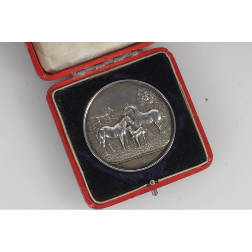 853 - Cased sterling silver medal to 'Maestec' May Day Show 1903 prize medal, 44g.