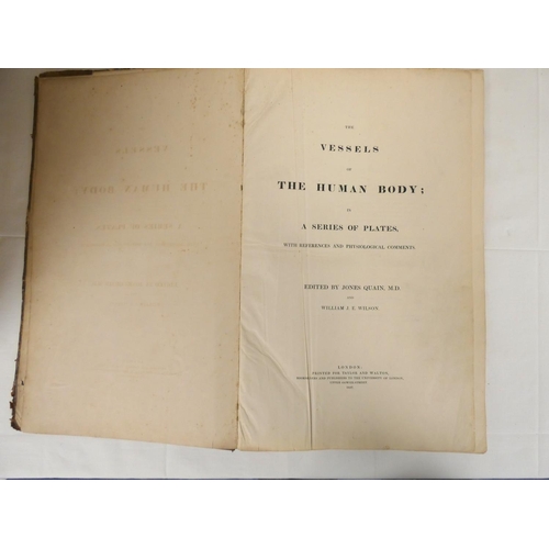 203 - QUAIN JONES & WILSON WILLIAM J. E.  The Vessels of the Human Body in a Series of Plate... 