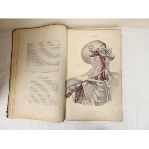 203 - QUAIN JONES & WILSON WILLIAM J. E.  The Vessels of the Human Body in a Series of Plate... 