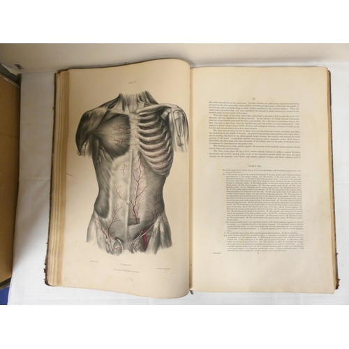 203 - QUAIN JONES & WILSON WILLIAM J. E.  The Vessels of the Human Body in a Series of Plate... 