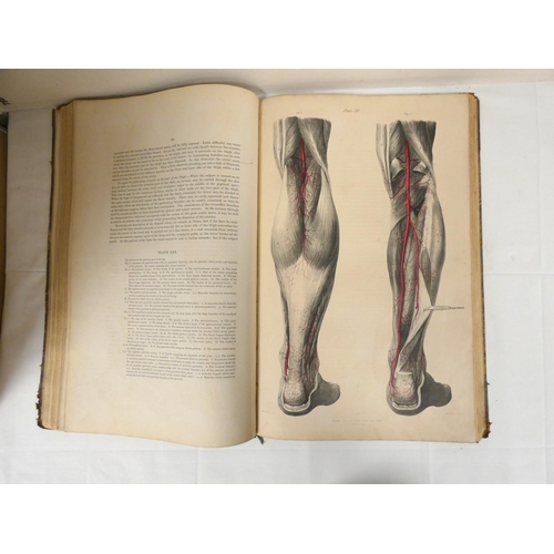 203 - QUAIN JONES & WILSON WILLIAM J. E.  The Vessels of the Human Body in a Series of Plate... 