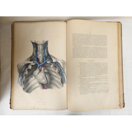 203 - QUAIN JONES & WILSON WILLIAM J. E.  The Vessels of the Human Body in a Series of Plate... 