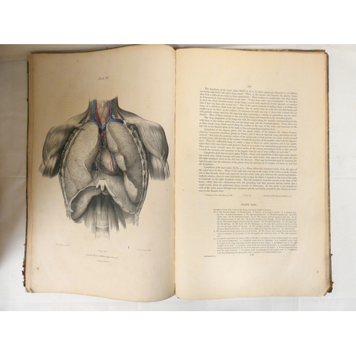 203 - QUAIN JONES & WILSON WILLIAM J. E.  The Vessels of the Human Body in a Series of Plate... 