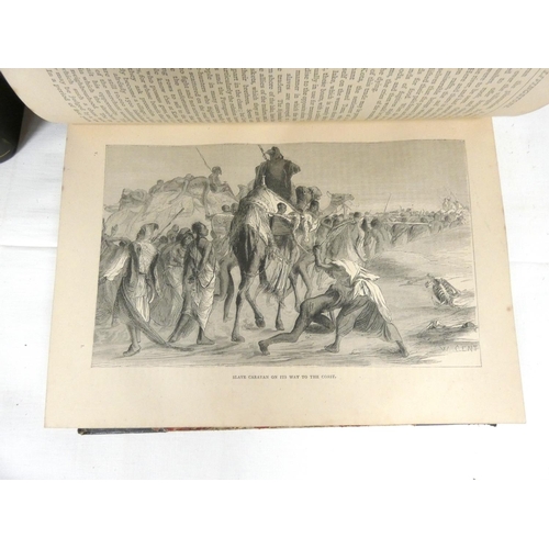 204 - RITCHIE J. E.  The Pictorial Edition of the Life & Discoveries of David Livingstone. 2 vols. Lit... 