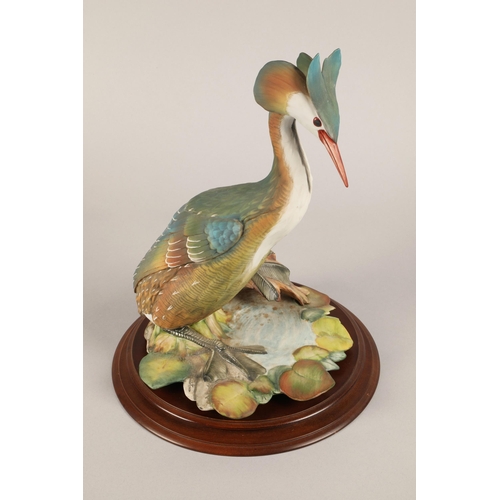 2 - Edoardo Tasca for Capodimonte, large grebe figurine on wooden base, limited edition no. 920/1000