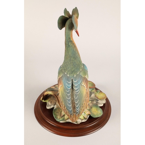 2 - Edoardo Tasca for Capodimonte, large grebe figurine on wooden base, limited edition no. 920/1000