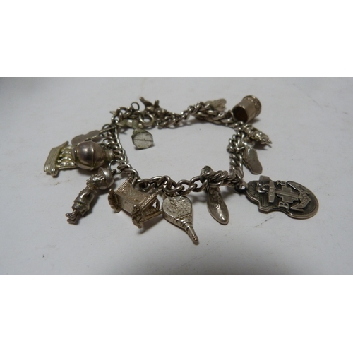 223 - Collection of silver and other jewellery to include bracelets, bangles, charm bracelet, brooches, ch... 