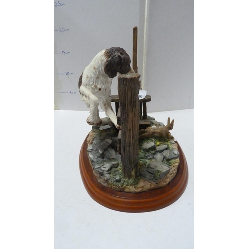 241 - Border Fine Arts model of a springer spaniel and a rabbit (liver and white).