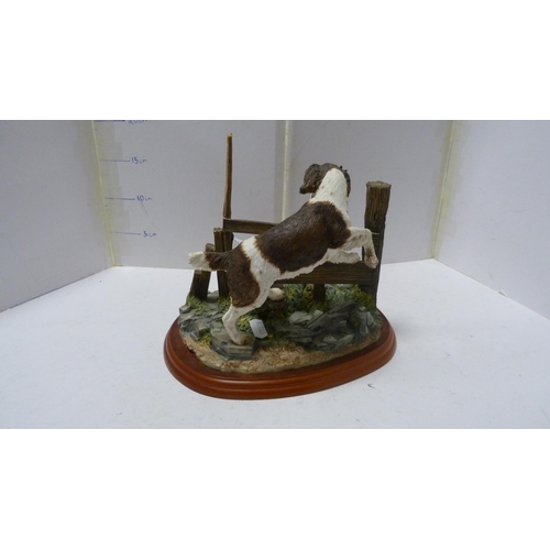 241 - Border Fine Arts model of a springer spaniel and a rabbit (liver and white).