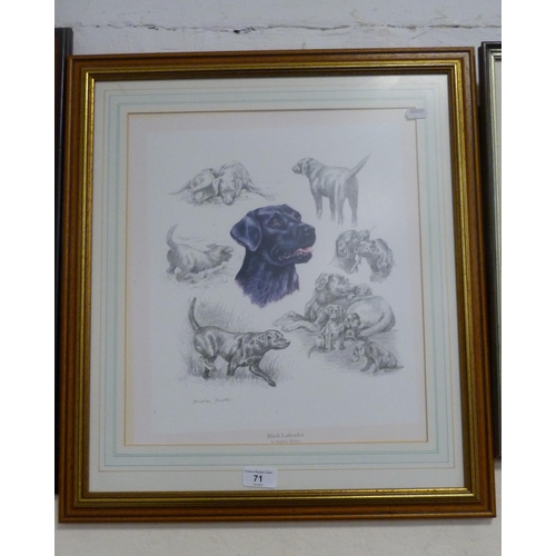 71 - Daphne Baxter'Black Labrador'Pencil signed print, a print 'The Cannon Shot', and two prints 'Ribbons... 