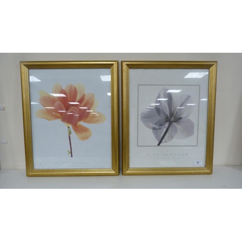 80 - Two modern prints of floral subjects to include 'Christmas Rose' by Alan Newham and 'Pink Dahlia'.&n... 