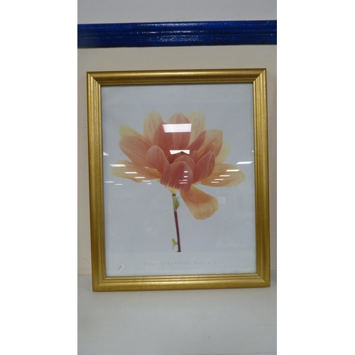 80 - Two modern prints of floral subjects to include 'Christmas Rose' by Alan Newham and 'Pink Dahlia'.&n... 