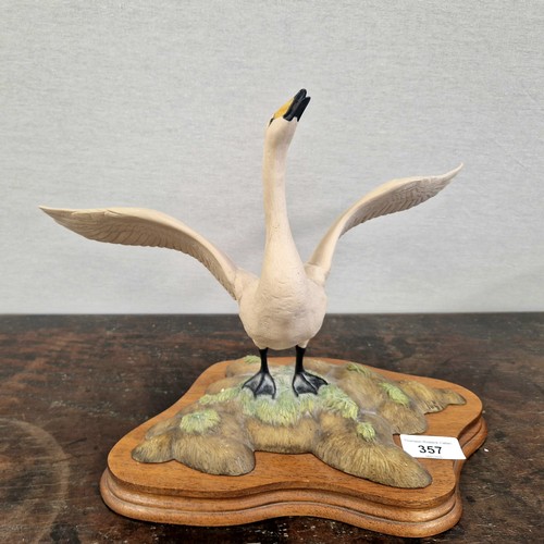 357 - Border Fine Arts Whooper Swan PS07