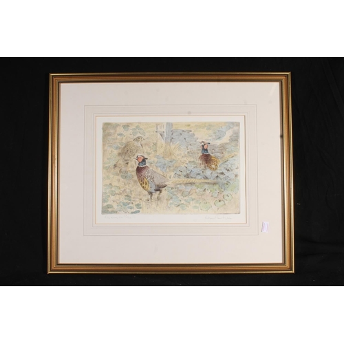 430 - PETER PARTINGTON (b1941), Pheasants, print, pencil signed lower right, limited edition number 28/150... 