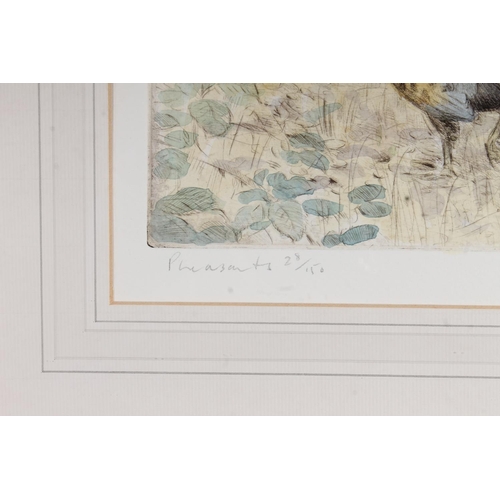 430 - PETER PARTINGTON (b1941), Pheasants, print, pencil signed lower right, limited edition number 28/150... 