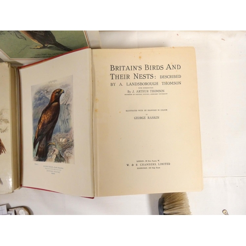 249 - Various bird reference books to include British birds and three nest Arthur Thomson.