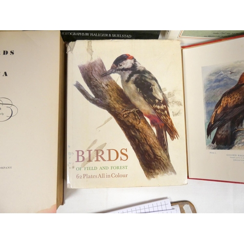 249 - Various bird reference books to include British birds and three nest Arthur Thomson.