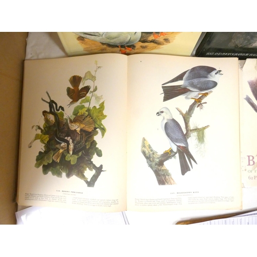 249 - Various bird reference books to include British birds and three nest Arthur Thomson.