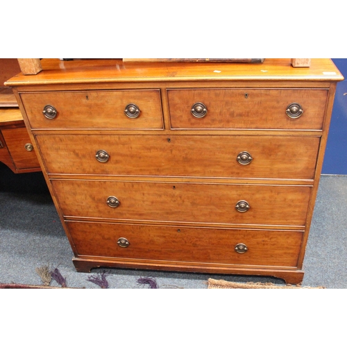 586 - Victorian mahogany chest of two short over three long graduated drawers. 114cm wide x 101cm tall.