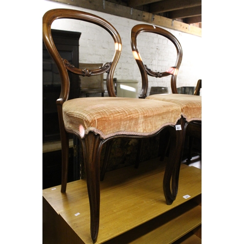 688 - Pair of antique balloon back dining chairs.