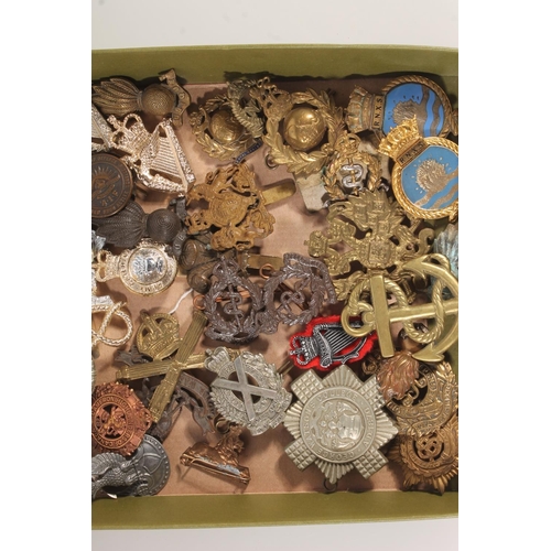 387 - Collection of military cap badges to include Royal Naval Auxiliary Service, Scottish Horse, Royal Ma... 