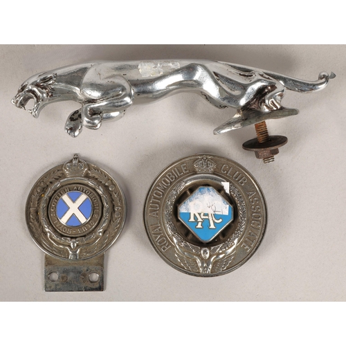 234 - Assortment of car badges and chrome Jaguar bonnet  mascot, including one AA car badge and two RAC ba... 