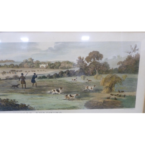 174 - Titled sporting prints to include 'Pheasant Shooting', 'Wild Duck Shooting', 'Partridge Shooting' an... 