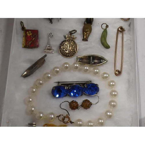 259 - Costume jewellery to include charms, pendants, buckles, pin cushion etc.