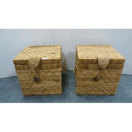 324 - Pair of wicker twin-handled baskets.