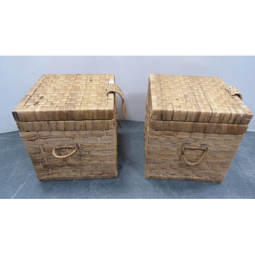 324 - Pair of wicker twin-handled baskets.