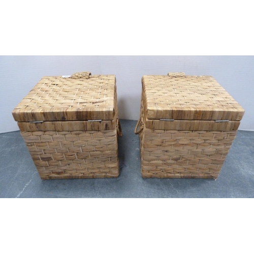 324 - Pair of wicker twin-handled baskets.