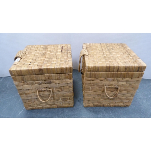 324 - Pair of wicker twin-handled baskets.