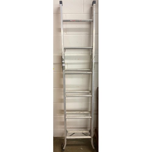 679 - Double-extension metal ladder