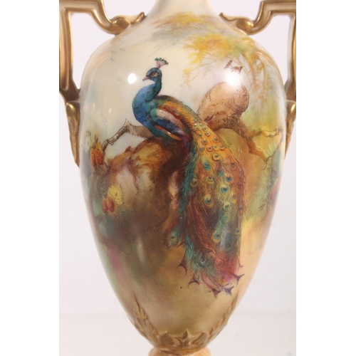 225 - Royal Worcester porcelain urn painted with peacock design, signed by Sedgley, H22cm.