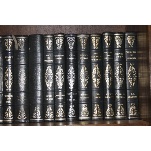 243 - Shelf containing novels.