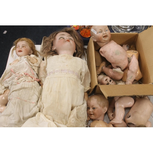 81 - Bisque headed dolls and doll parts.