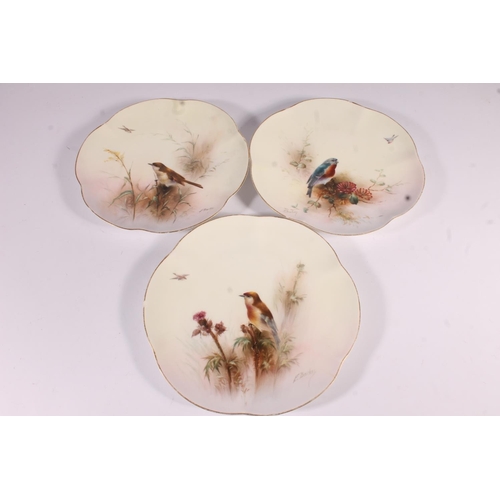417 - Royal Worcester Ornithological porcelain plates, c1906, each painted with a British garden bird, sig... 