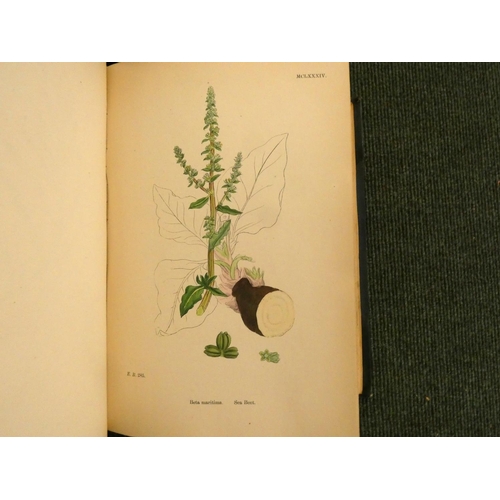 223 - SOWERBY J. E., & others.  English Botany or Coloured Figures of British Plants, edited by John T... 