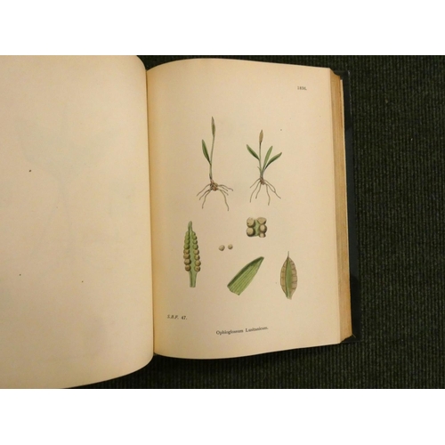 223 - SOWERBY J. E., & others.  English Botany or Coloured Figures of British Plants, edited by John T... 