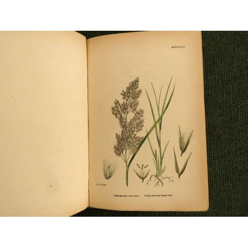 223 - SOWERBY J. E., & others.  English Botany or Coloured Figures of British Plants, edited by John T... 