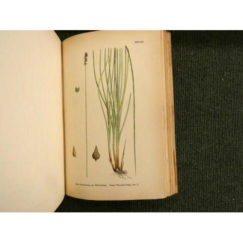 223 - SOWERBY J. E., & others.  English Botany or Coloured Figures of British Plants, edited by John T... 